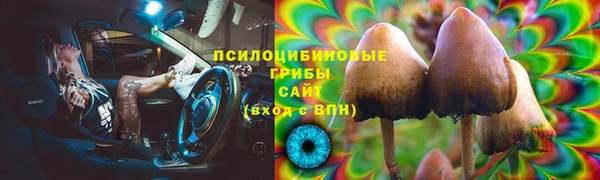 меф Арсеньев
