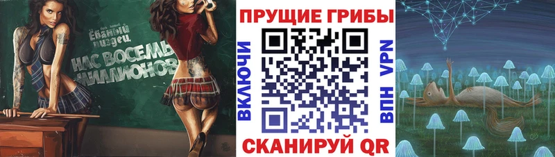 Галлюциногенные грибы GOLDEN TEACHER  Заречный 