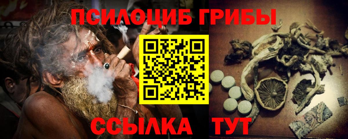 Галлюциногенные грибы прущие грибы Заречный