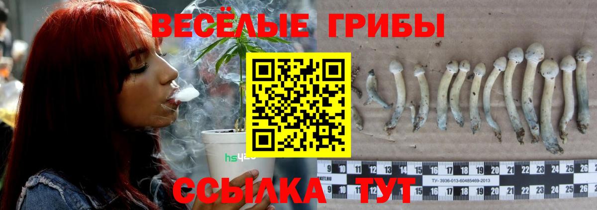 Галлюциногенные грибы MAGIC MUSHROOMS  Псилоцибиновые грибы Magic Shrooms  Вход с VPN  Заречный 