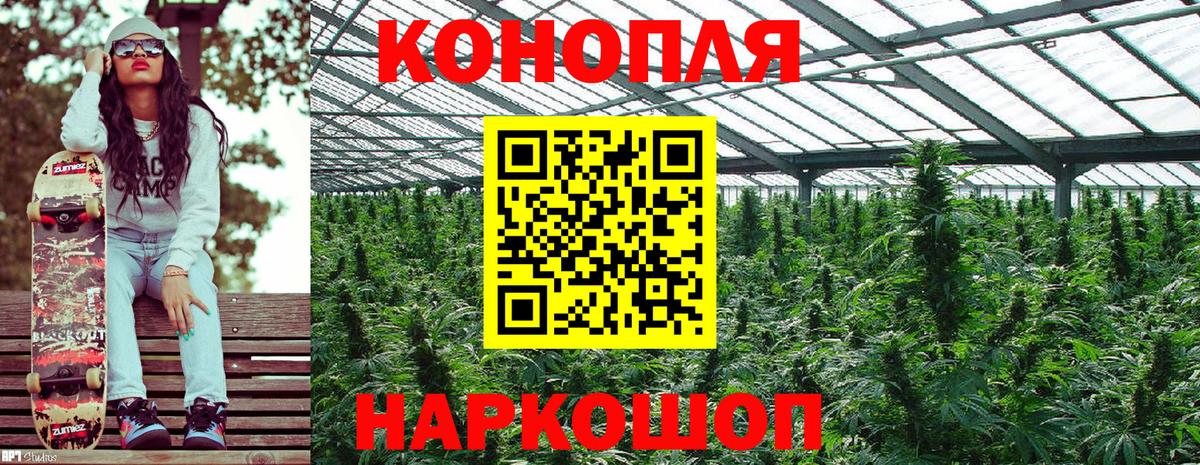 Заречный  Бошки Шишки OG Kush  Марихуана индика  Вход с VPN 